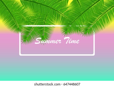 Summer background with palm leaves. Vector Illustration. Eps10.