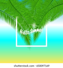 Summer background with palm leaves. Vector Illustration. Eps10.
