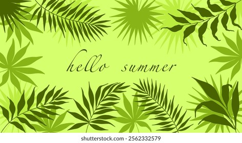  Summer background with palm trees. Summer horizontally banner with green palm leaves. Hello summer background banner design. Horizontal poster, greeting card, for website. Tropical leaves 