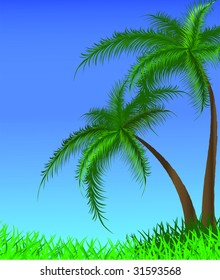 Summer background with palm trees. Vector illustration