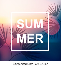 Summer background with palms