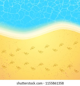 Summer background with palms shadow, beach sand and sea water