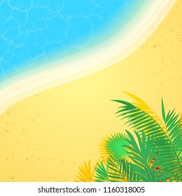 Summer background with palms shadow, beach sand and sea water