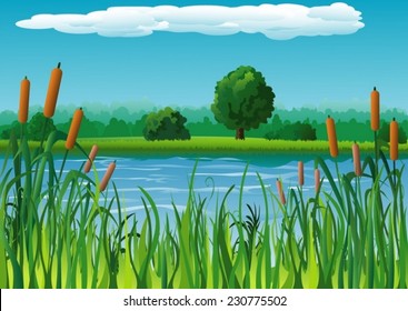 Summer background with pond and reeds