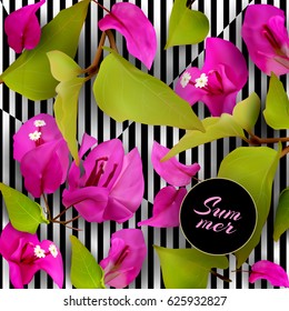 Summer background with purple tropical flowers, fallen petals and leaves on a black and white striped background. Bougainvillea. Realistic plants. Vector illustration EPS10
