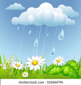 summer background with rain, cloud and flowering meadow