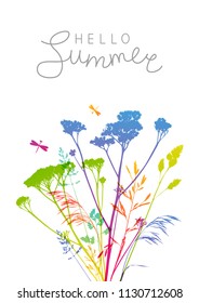 Summer background with rainbow herbal silhouettes
