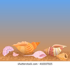 Summer background with sea shells and sand. Shells are on the beach.