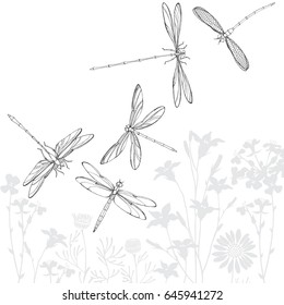 Summer background with silhouettes of meadow flowers and outline drawn by hand dragonflies. Monochrome vector illustration.
