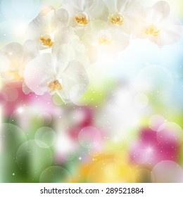 summer background with sprig of white Orchid flowers.