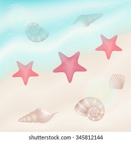summer background with starfishes and shelles
