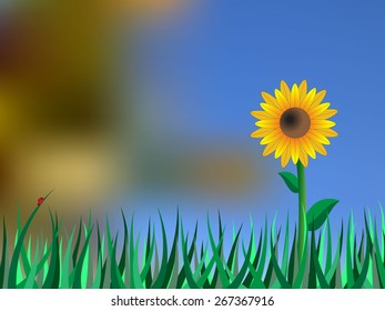 Summer background with sunflower and blur sky