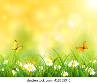 Summer background, sunny day with butterflies flying above the grass with ladybugs and flowers, illustration.