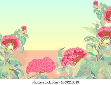 Summer background template of Cock's comb flowers (Celosia cristata) in sunny day, flat simple hand draw rerto/vintage colorful vector