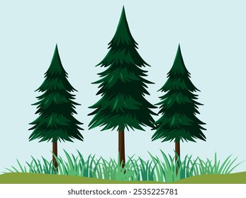 Summer background with three green fir trees growing on grassy green meadow. Vector on a blue background