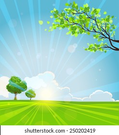 Summer background with trees and sunbeams. Copy space 