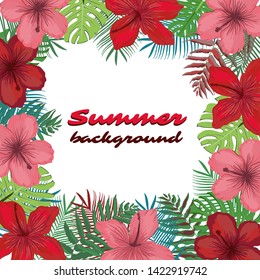 Summer background  with tropical elements