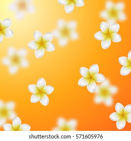  Summer background with tropical flowers 