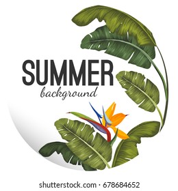 Summer background with tropical leaves and flower vector