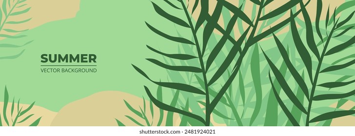 Summer background with tropical leaves. Wide green vector abstract floral banner.