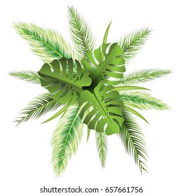 Summer background with tropical palm leaf. Vector illustration EPS10