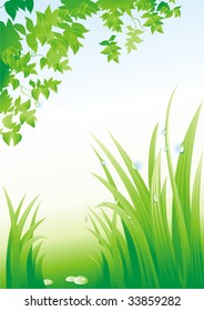 Summer background. (vector illustration)