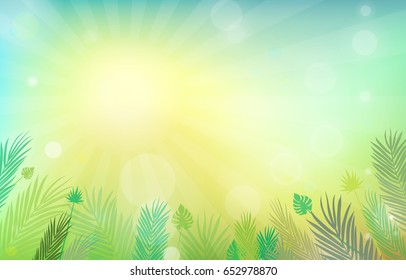 Summer Background Vector Illustration
