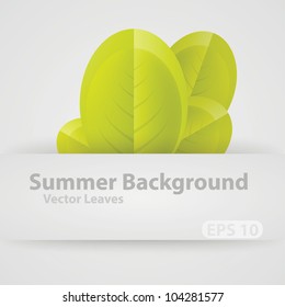 Summer background vector leaves