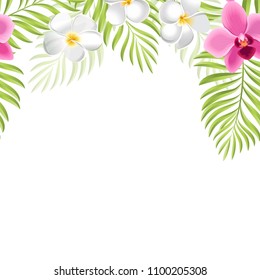 Summer background. Vector orchids, frangipani, palm leaves on white background.