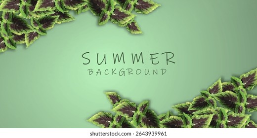 Fundo de Verão com Folhas de Coleus Vibrantes