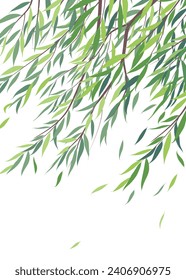 Fondo veraniego con ramas de sauce llorosas y hojas verdes sobre blanco. Paisaje fresco en primavera y verano. Simple ilustración plana vectorial.