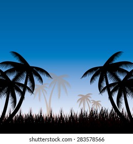 Summer background whit palm trees.vector