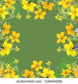 Summer background of wild flowers Bidens, square frame postcard, vector illustration.