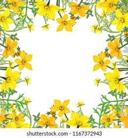 Summer background of wild flowers Bidens, square frame postcard, vector illustration.