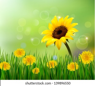 Summer background with yellow flowers and grass. Vector.