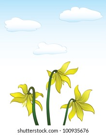 Summer background with yellow flowers, vector illustration
