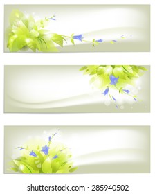 summer backgrounds
