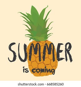 Summer backgrounds collection. Vector illustration design.