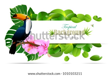 Summer backgrounds of palm leaves wiht birds. vector illustration.Tropical island spring of beautiful plants green and adstract bachgrounds.