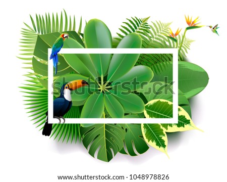Summer backgrounds of palm leaves wiht birds. vector illustration.Tropical island spring of beautiful plants green and adstract bachgrounds.