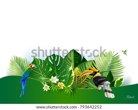 Summer backgrounds of palm leaves wiht birds. vector illustration.Tropical island spring of beautiful plants green and adstract bachgrounds.