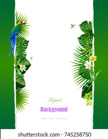Summer backgrounds of palm leaves and wild birds.