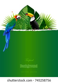 Summer backgrounds of palm leaves and wild birds.