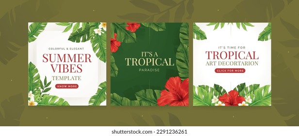 Fondo de verano con hojas tropicales. plantilla de diseño de hibisco rojo. temática tropical de la playa. Plantilla de vector modificable para medios sociales