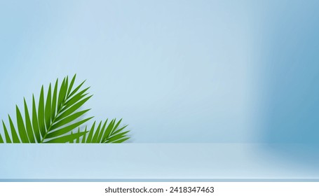 Summer Background,Studio Room display with light,coconut palm leaves shadow on pastel blue cement wall background,Horizon Banner tropical scene concept for product presentation,Sale,Web online banner