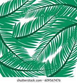 Summer background,Tropical design vector