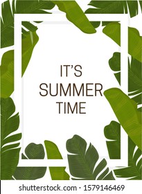 Summer - banana leaves frame