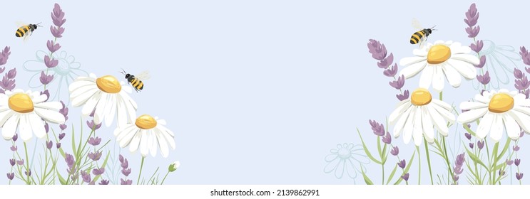 Summer banner with bouquet. Birthday, Wedding or Mothers Day illustration. Vector design element, lavender and chamomile, medicinal herbs.	