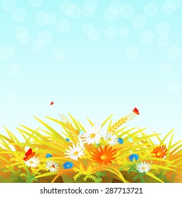 Summer banner design with wheat field, wild flowers and butterflies. Vector illustration