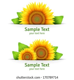 Summer banner, floral background, floral icon or postcard template with yellow flowers of sunflower and green leaves